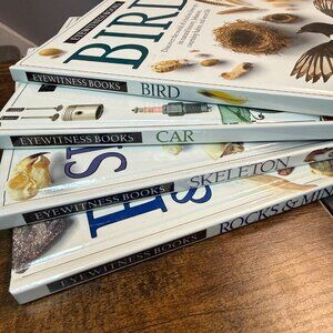 4 Eyewitness Books Bird / Car / Skeleton / Rocks & Minerals Hardcover Books